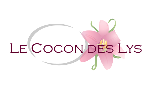 Num-ERIC Informatique - lecocondeslys.fr